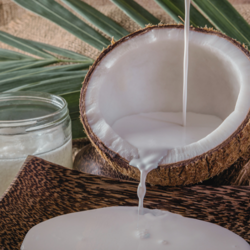 The role of fat content in coconut milk: digestive properties