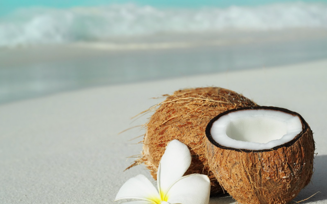 Coconuts as a Cultural Significance Across the Globe