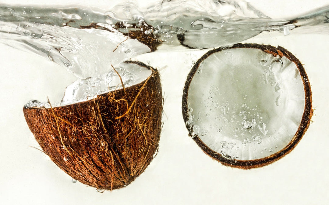 Coconut Powder: A Crucial Ingredient for Your Health